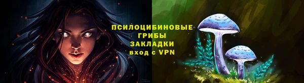 кокс Гусиноозёрск
