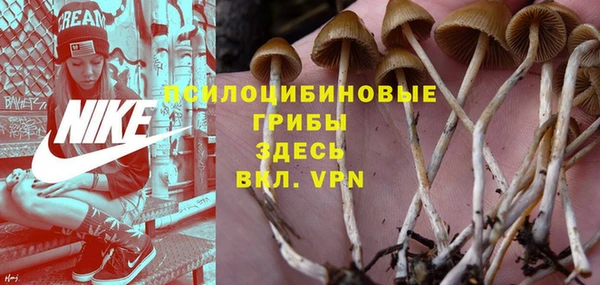амфетамин Гусев