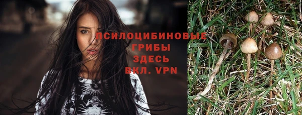 амфетамин Гусев