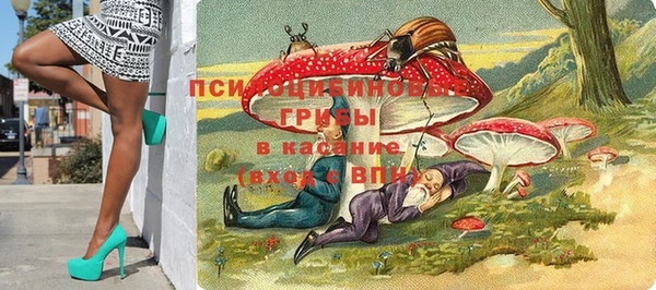 таблы Дмитровск