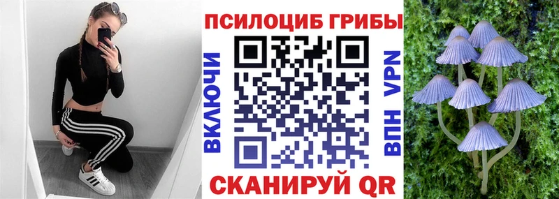 Галлюциногенные грибы Psilocybe  Купить закладки  Фатеж 