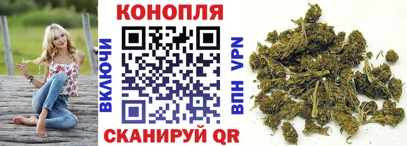 Купить где  Фатеж  Бошки Шишки план 